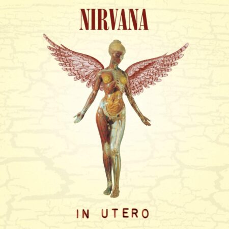 Nirvana Vinili - In Utero Album
